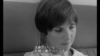 Trailer Preview Image