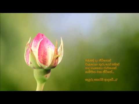 Pilisindi Da Jeewithen - පිළිසිඳි දා ජීවිතෙන්