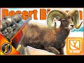 Hunting The NEW Desert Bighorn Sheep On Rancho TheHunter Call Of The Wild
