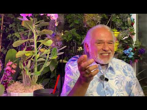 FRANK26….1-4-26…..THE ENEMY OF THE MR