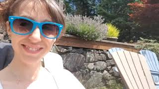 Look at that Water & Look at those Pups!