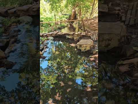 El Pescadito de Oro, Nahulingo, Sonsonate.