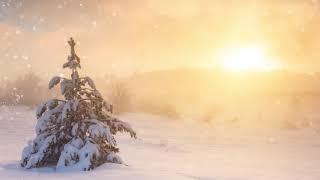 Diana Krall   Christmas Songs   Count Your Blessings Instead Of Sheep