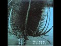 Acrnym - Three