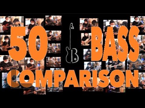50 Bass Comparison |  Fender Fodera Kensmith MTD … |  Bassist Robiq