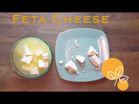 Wie macht man Feta-Käse zu Hause? Super einfach und gesund (inspiriert von der iranischen Küche)