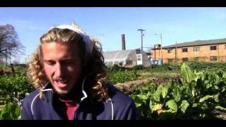 VIDEO: Tunnel Vision has High Hoops