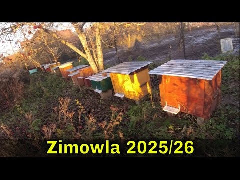 Zimowla u pszczół miodnych. Pasieka Farmera