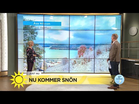 Nu kommer snön! "Det är så vackert"  - Nyhetsmorgon (TV4)