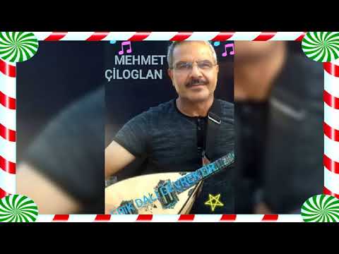 erik dalı   mehmet çiloglan
