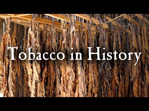 Growing Tobacco In Early America