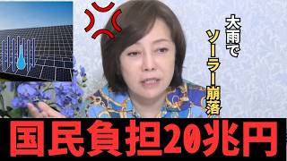 【怒り】国民負担20兆円！日本国民が払った再エネ賦課金#政治 #日本保守党 #政治ニュース