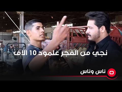 شاهد بالفيديو.. نجي من الفجر علمود 10 الاف