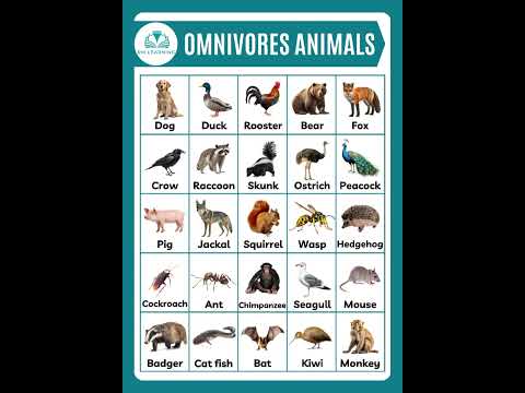 Omnivores Animals #animals #omnivorousanimalsname #shortsfeed