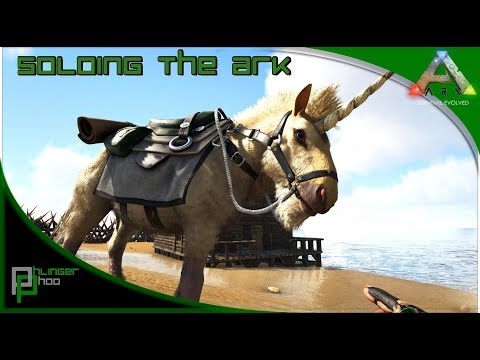 Soloing the Ark S4E42 - UNICORN TAMING - Oh, and other stuff I was intending to do!
