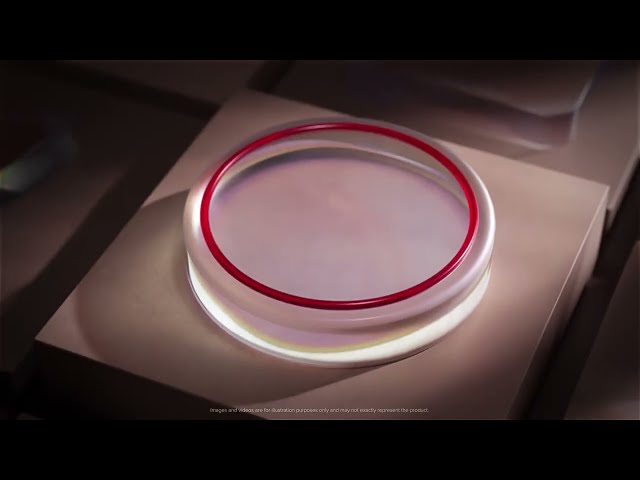 YouTube Video -