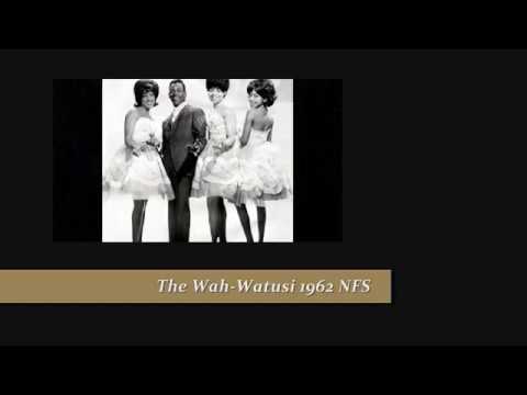 BRINGING BACK THE 50s & THE 60s - THE ORLONS