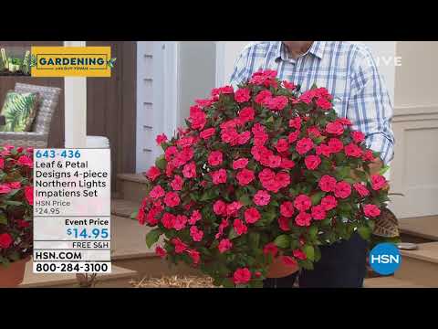HSN | Gardening with Guy Yovan 05.04.2019 - 08 AM