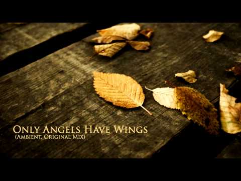 Deejay RT - Only Angels Have Wings (Ambient, Original Mix)