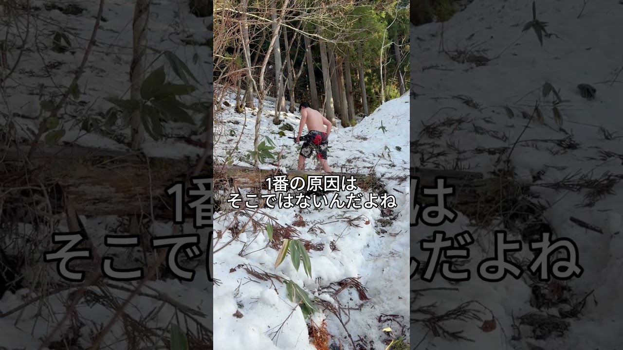 熊の被害について@Kusaharo