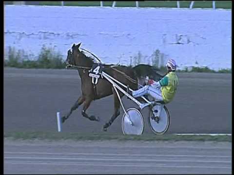 Trotto 22/11/2015 - 2° corsa