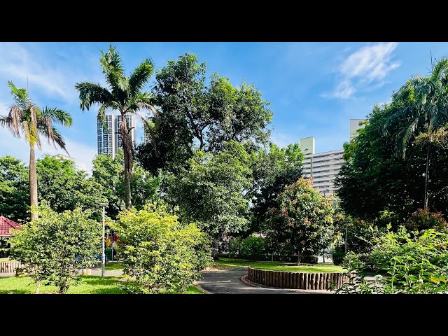 Shop / Shophouse for Sale in  Kim Tian Vista - Image 6