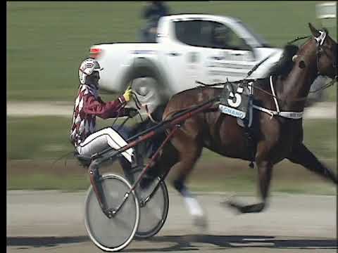 Trotto 02/04/2018 - 4ª corsa