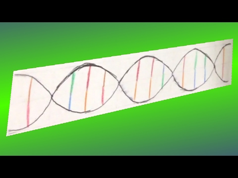 DNA Replication Stop-Motion