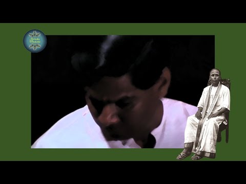 Sri T Ranganathan I Another Branch of Pazhani Sri Subramania Pillai's Mridangam legacy I #Pazhani117