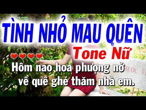 Karaoke Tình Nhỏ Mau Quên Tone Nữ Cha Cha ( La Thứ - Dễ hát ) Nhạc Sống Tuyết Nhi
