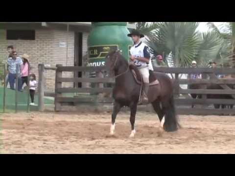 PO Ybirapuitã  - 3º Lugar Machos