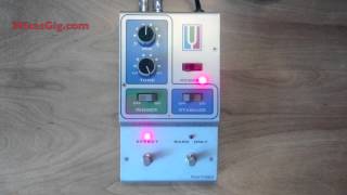 Video thumbnail for Mu-Tron Octave Divider Flashback Review | MikesGigTV by mikesgigtv