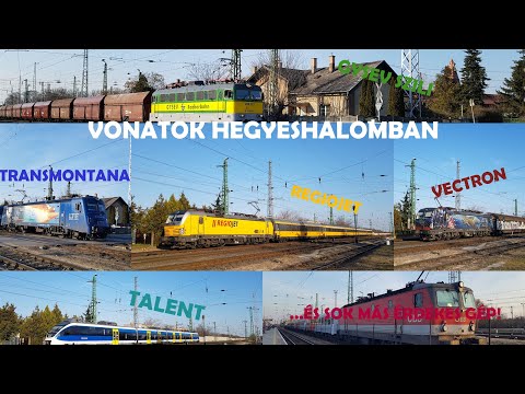 RENGETEG TEHER és sok más vonat Hegyeshalomban