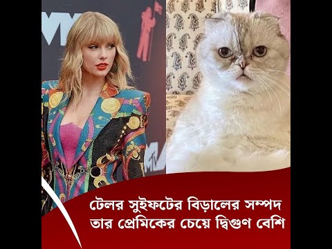 টেলর সুইফটের বিড়ালের সম্পদ তার প্রেমিকের চেয়ে দ্বিগুণ বেশি