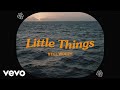 Still Woozy Little Things Lyric Visualizer