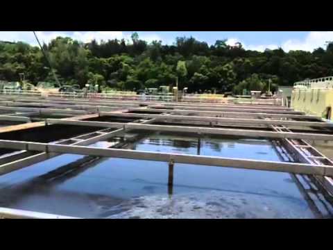 Zickert operation in Tai Po STWs