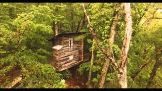 The Treehouse