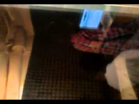 JADA CASH IN THE LAB F.U.G.M