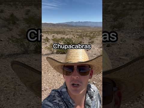 Chupacabras are everywhere down here 😅 #shorts