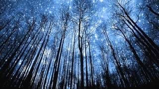 Sonata Arctica - They follow (Testo tradotto)