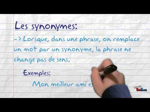 Les synonymes et les antonymes