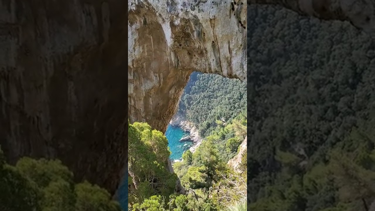 YouTube Short thumbnail