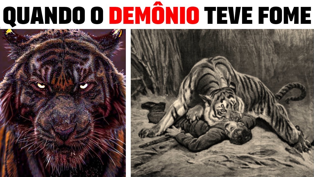 Esses Tigres COMERAM mais de 500 PESSOAS