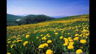 nell&#39;erba nell&#39; acqua nel vento