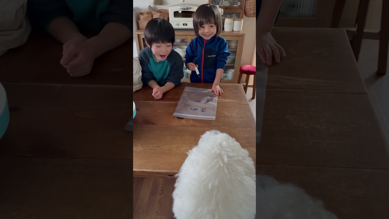 味噌作り2026 #味噌作り