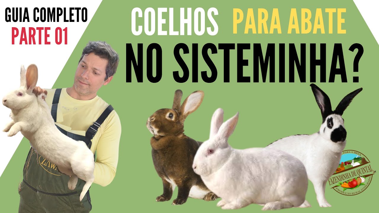 Criação de Coelhos, uma Proposta para o Sisteminha - parte 01
