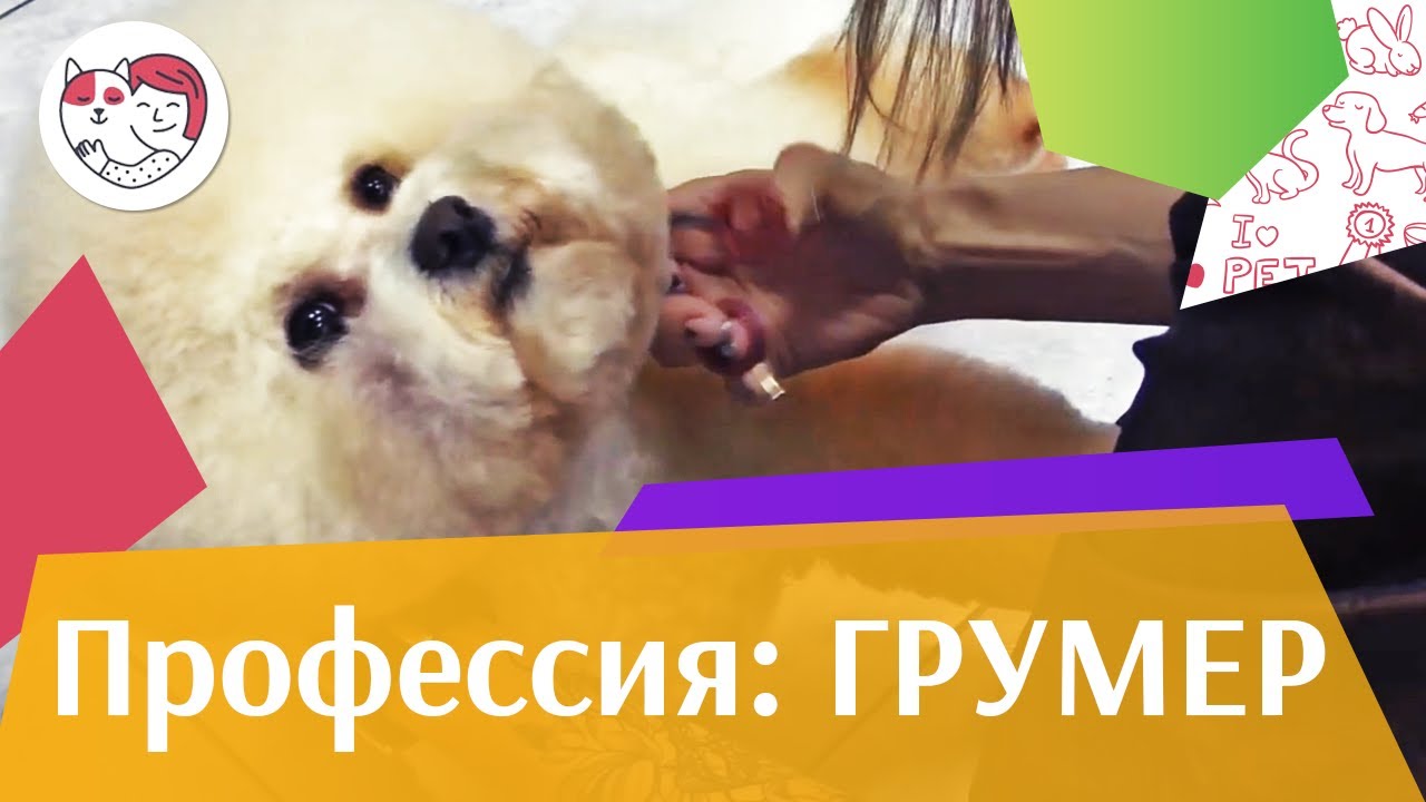 Грумер