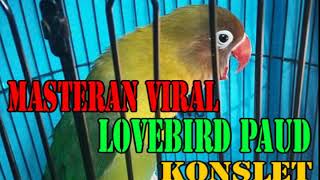 Download lagu MASTERAN LOVEBIRD PAUD/BALIBU KONSLET mp3