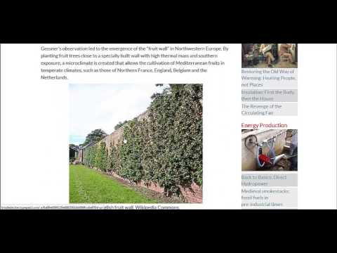 Create A Micro Climate With Fruit Walls and Espalier Plant Training