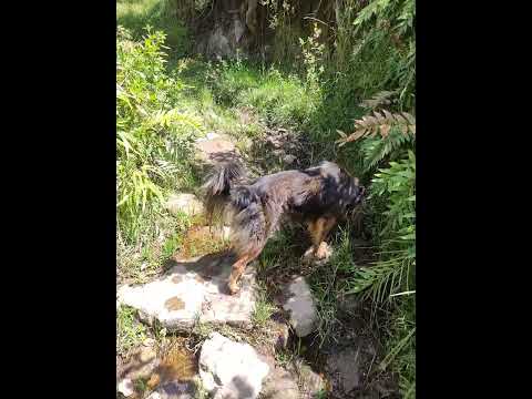 caminos de tibaná Boyacá Colombia bienvenidos todos a Colombia 🍀🤞